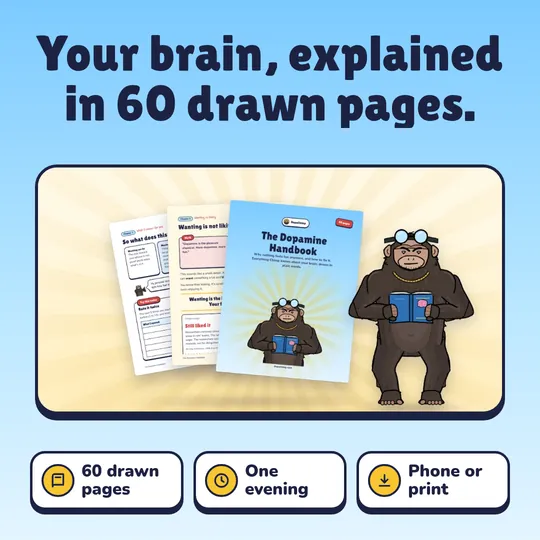 Your brain, explained in 60 drawn pages. The Dopamine Handbook: 60 drawn pages, One evening, Phone or print.